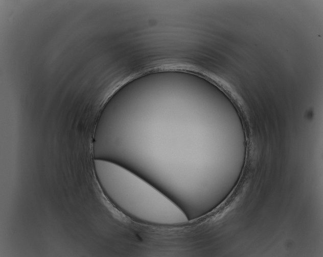 X0000091720897200708241017