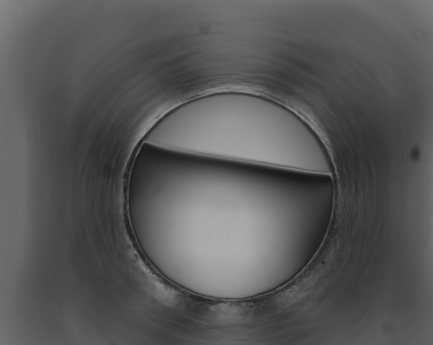 X0000091720898200708241017