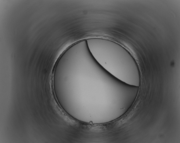 X0000091720899200708241017