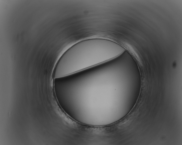 X0000091720900200708241017