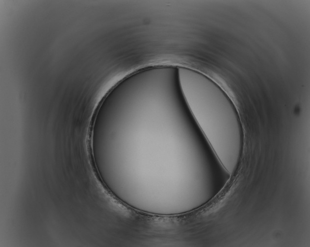 X0000091720901200708241017