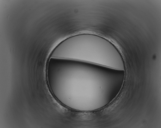 X0000091720902200708241017