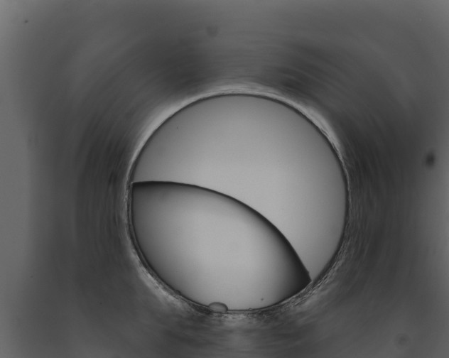 X0000091720903200708241017