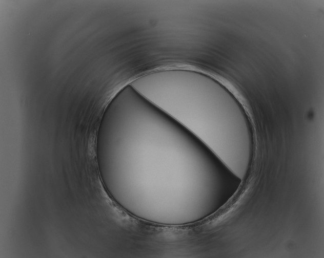 X0000091720905200708241017