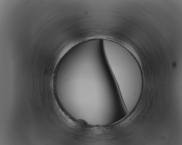 X0000091720906200708241017