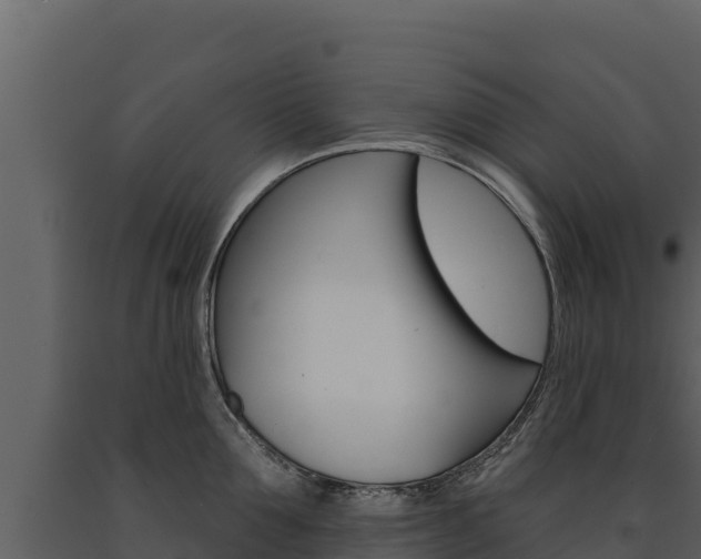 X0000091720907200708241017