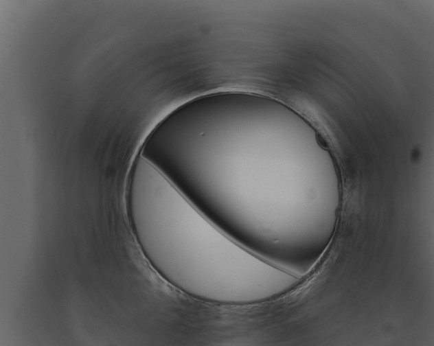 X0000091720908200708241017