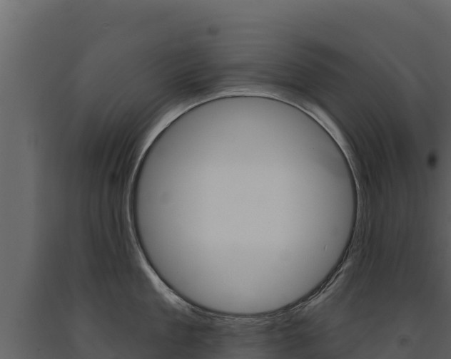 X0000091720909200708241017