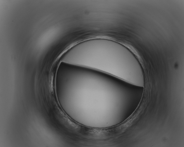 X0000091720910200708241017