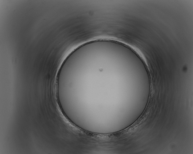 X0000091720911200708241017