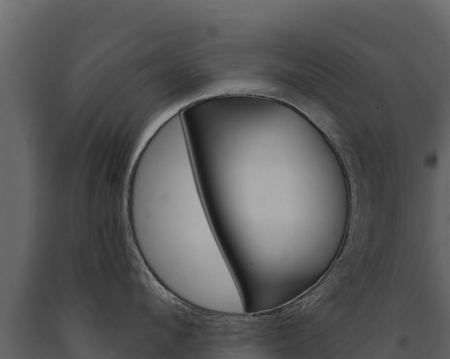 X0000091720912200708241017
