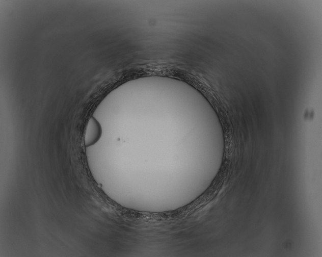 X0000091720913200708241016