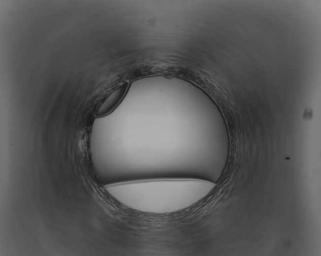 X0000091720914200708241016