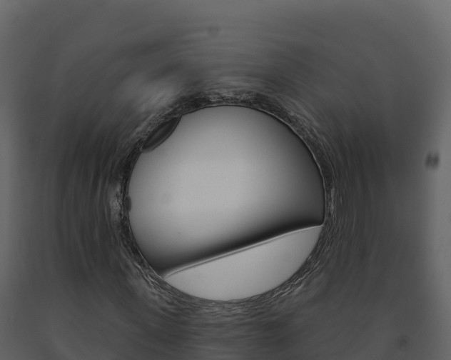 X0000091720915200708241016