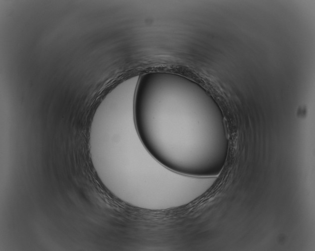 X0000091720916200708241016