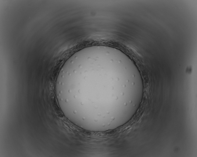 X0000091720917200708241016