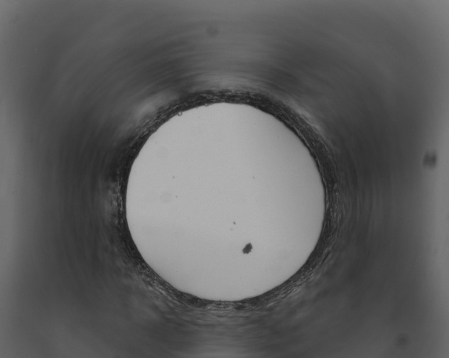 X0000091720918200708241016