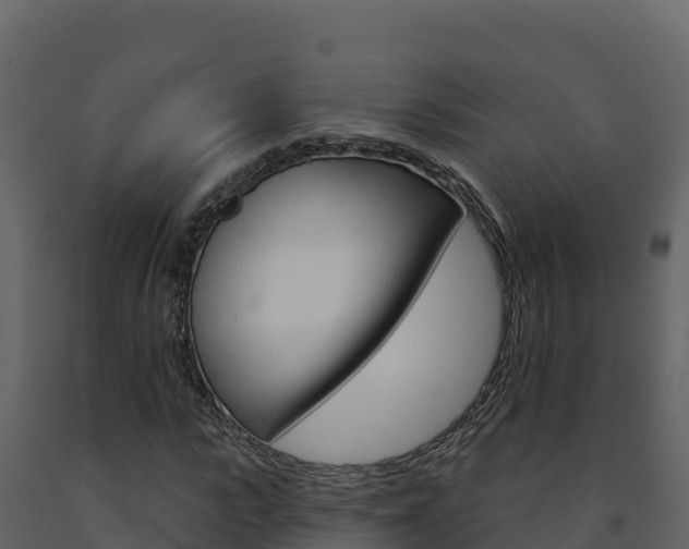 X0000091720919200708241016