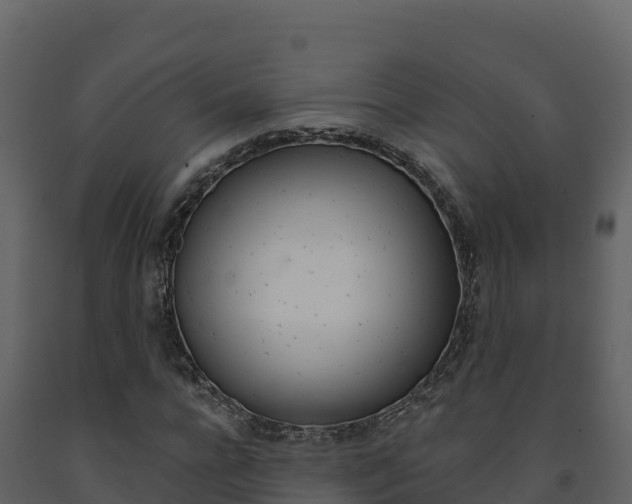 X0000091720920200708241016