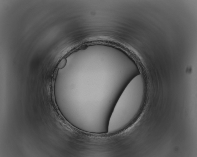 X0000091720921200708241016