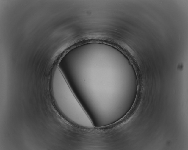 X0000091720922200708241016