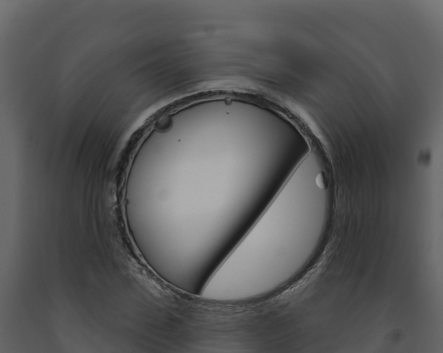 X0000091720923200708241016