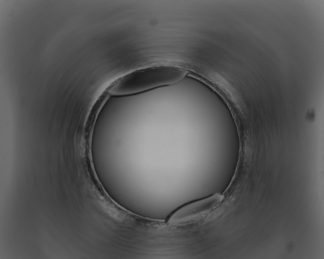 X0000091720924200708241016