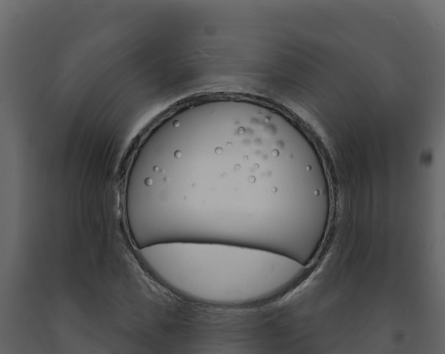 X0000091720925200708241016