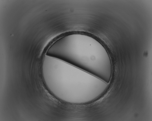 X0000091720926200708241016