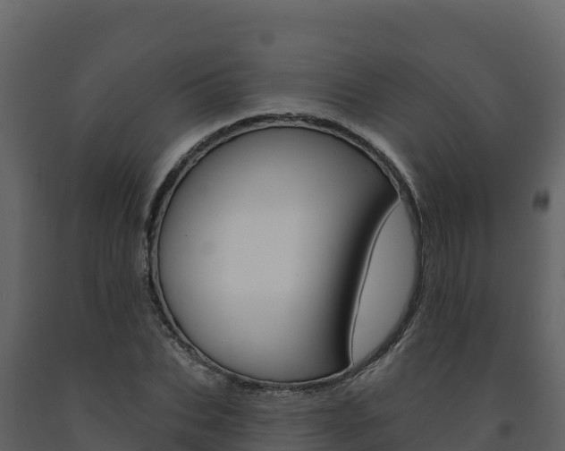 X0000091720927200708241016