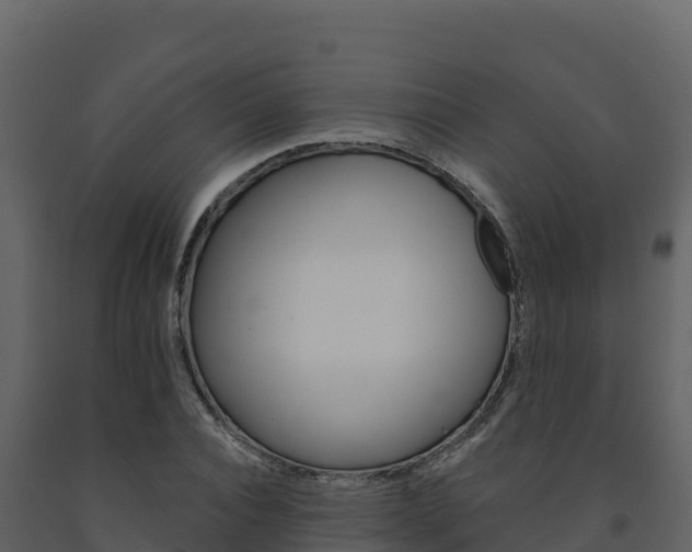X0000091720928200708241016