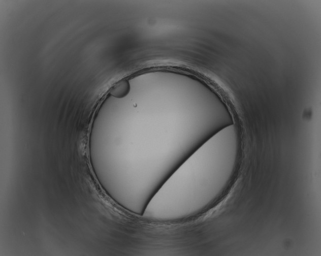 X0000091720929200708241016