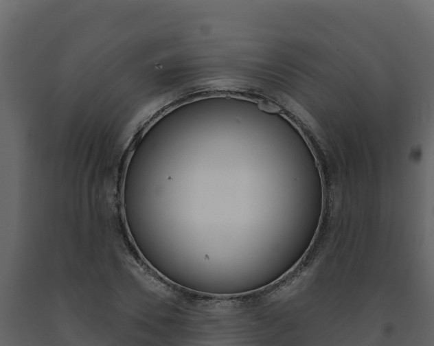 X0000091720930200708241016