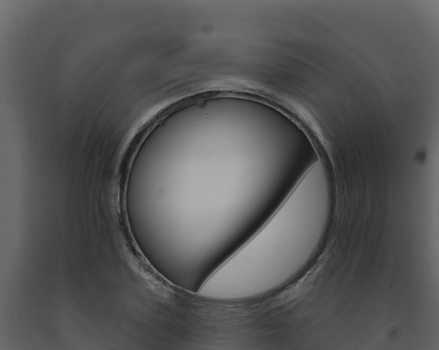 X0000091720931200708241016