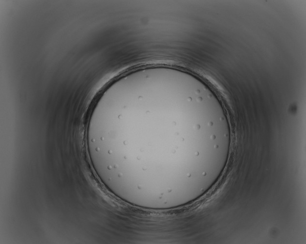 X0000091720933200708241016