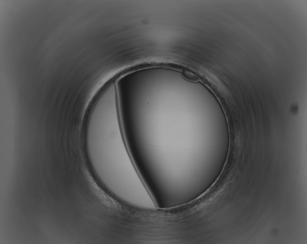 X0000091720934200708241016