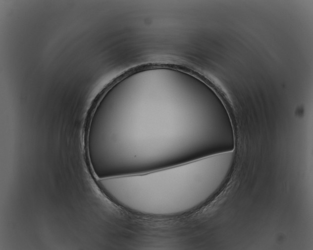 X0000091720935200708241016