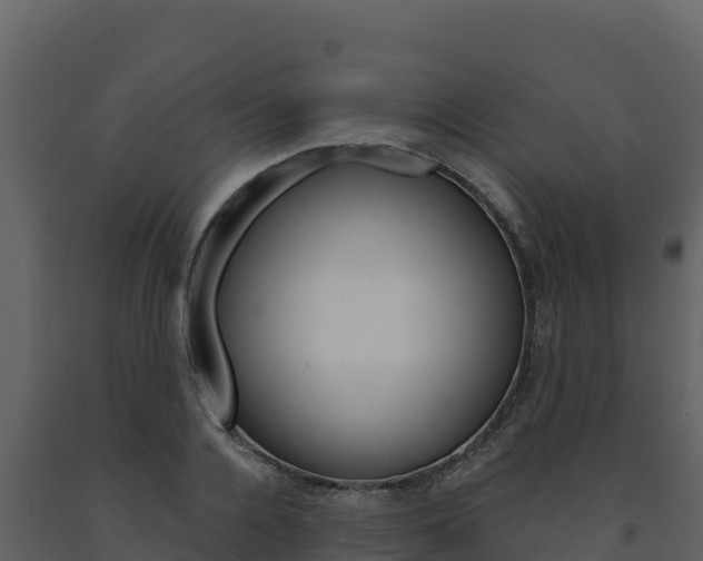 X0000091720936200708241016