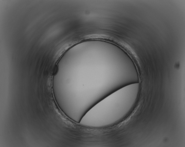 X0000091720937200708241016