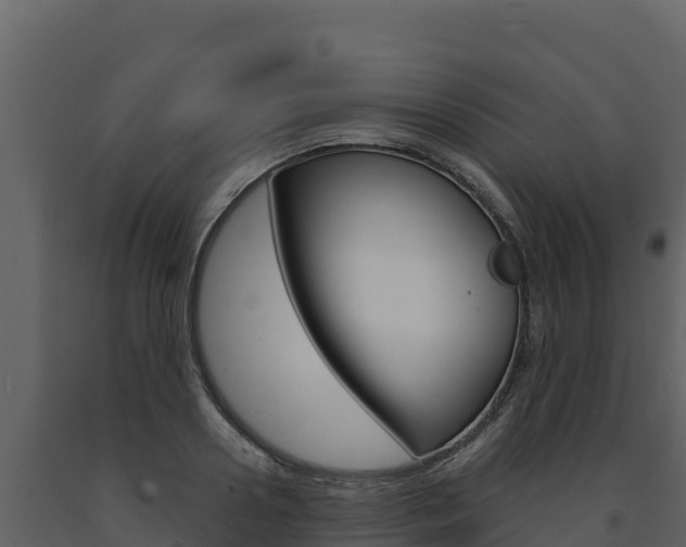 X0000091720938200708241016