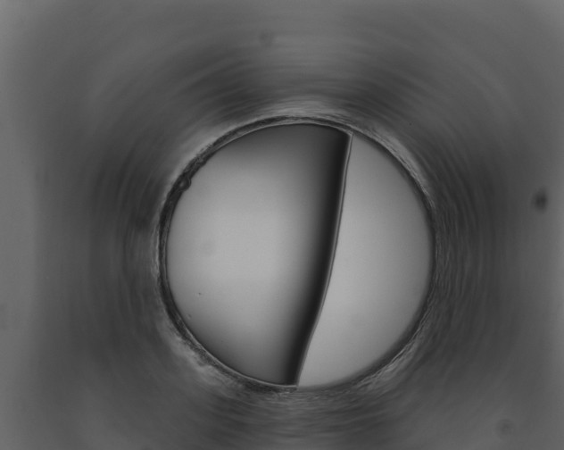 X0000091720939200708241016