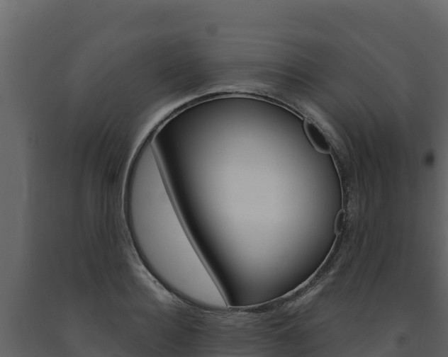 X0000091720940200708241016