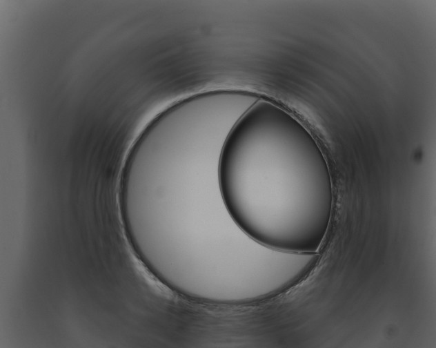 X0000091720942200708241017