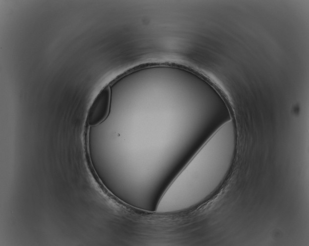 X0000091720943200708241017