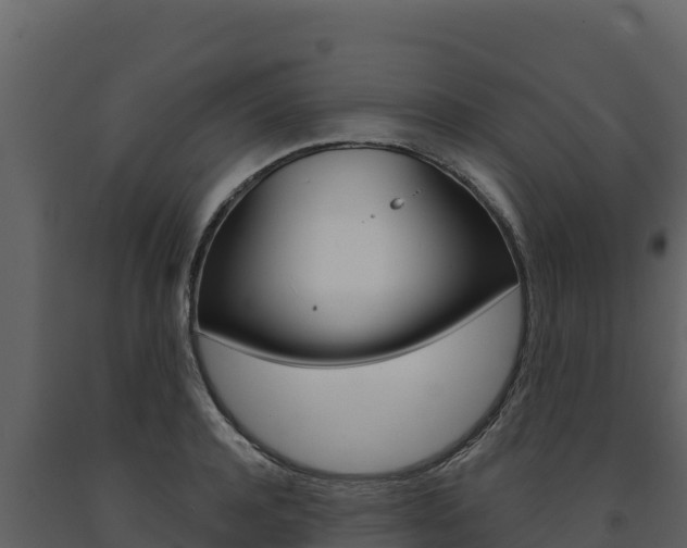 X0000091720944200708241017