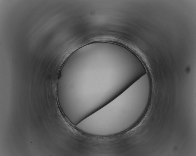 X0000091720945200708241017