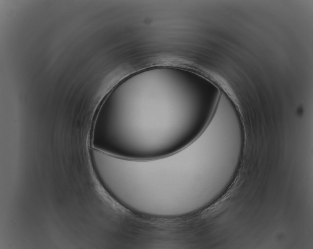X0000091720946200708241017