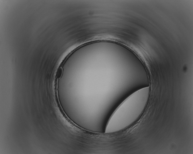 X0000091720947200708241017