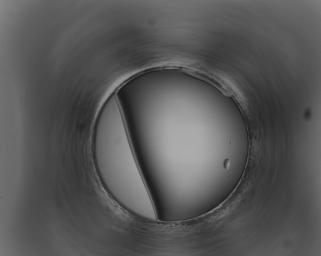 X0000091720948200708241017