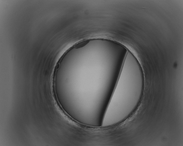 X0000091720949200708241017